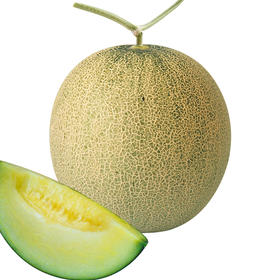 [专业种子] “库拉”网纹甜瓜种子