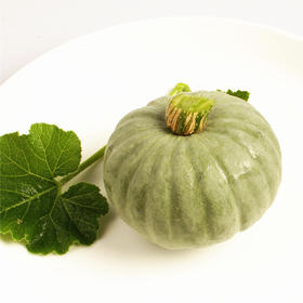 [专业种子] “银星”南瓜种子