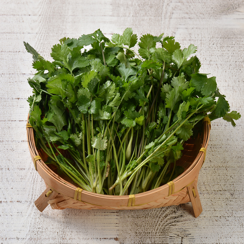 香菜 Cilantro 50g