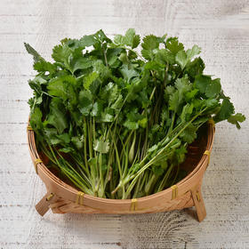 香菜 Cilantro 50g