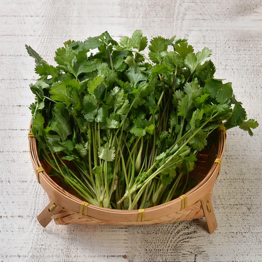 香菜 Cilantro 50g 商品图0