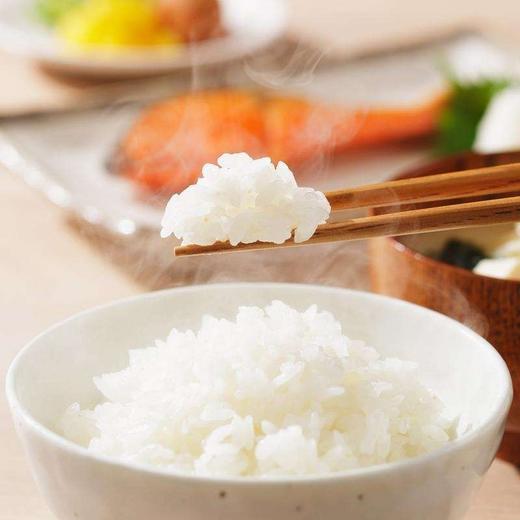 【包邮】金龙鱼 大米 特选东北大米 5KG【10斤】细腻软香 商品图1