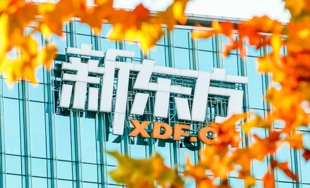 在线教育巨头都在亏损，新东方凭何营收利润双增长？