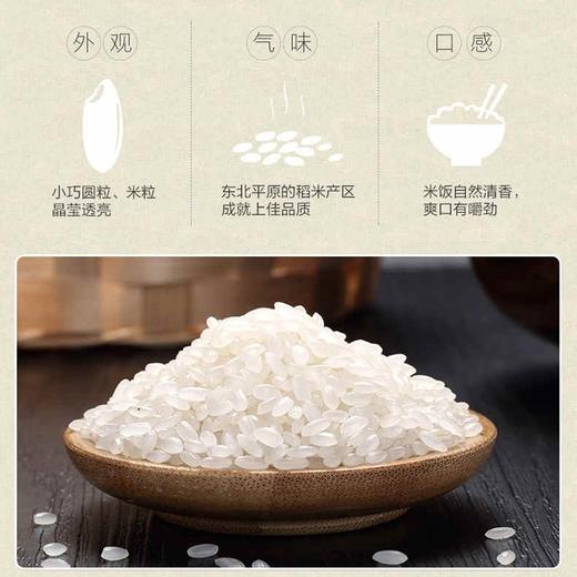 【包邮】金龙鱼 大米 特选东北大米 5KG【10斤】细腻软香 商品图4