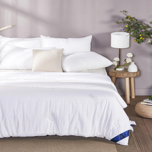 【远梦】蚕蛹蛋白养护四季被 商品图4