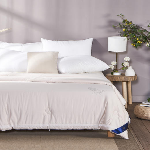 【远梦】蚕蛹蛋白养护四季被 商品图3