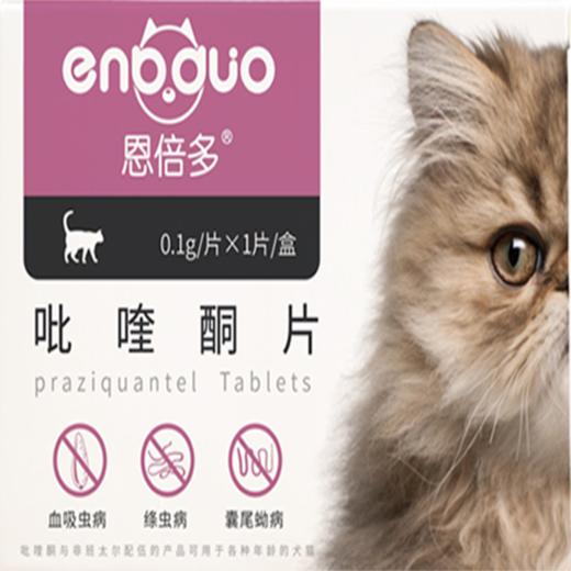 恩倍多猫咪狗狗驱虫药/滴眼液/洁耳液/内驱 商品图1
