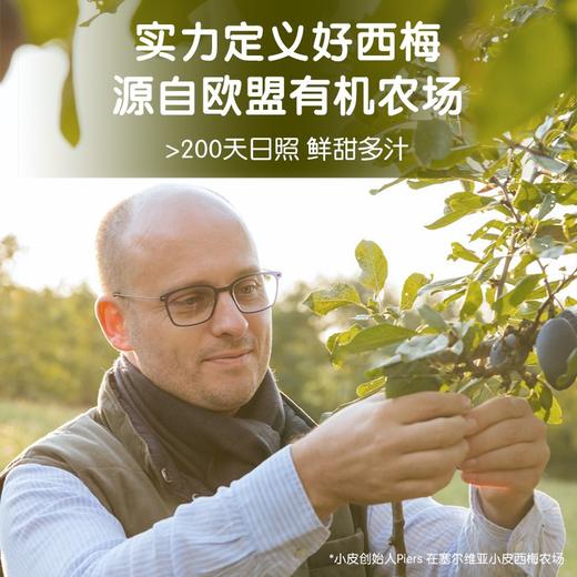 LittleFreddie小皮西梅苹果泥100g 商品图6