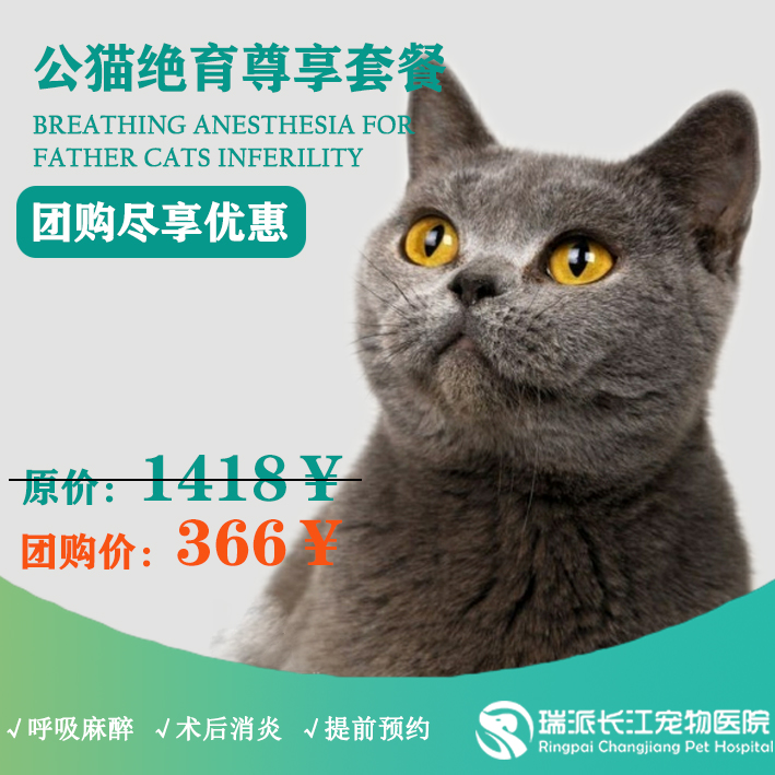 【到店服务】公猫绝育尊享套餐