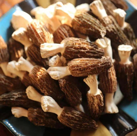 【新鲜羊肚菌】素中之荤 富含优质蛋白 味道鲜美/高原产地精选好货 /基地现采直发 顺丰空运包邮 商品图9