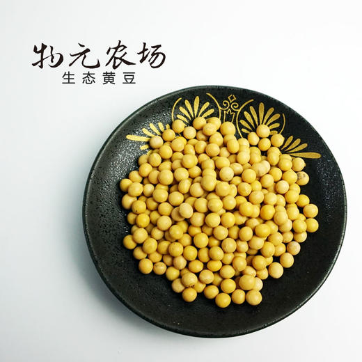 *【有机黄豆】当季新豆优质笨黄豆打豆浆发芽豆芽无农残丨物元农场|小包装易存储 商品图2