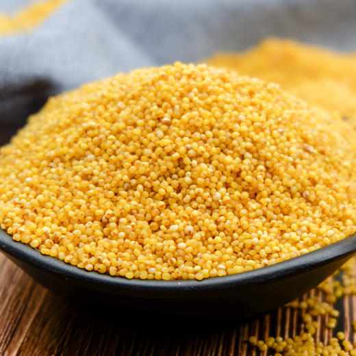 【陕北米脂小米】 农家杂粮 质地浓稠 现磨现发 5斤装 商品图0