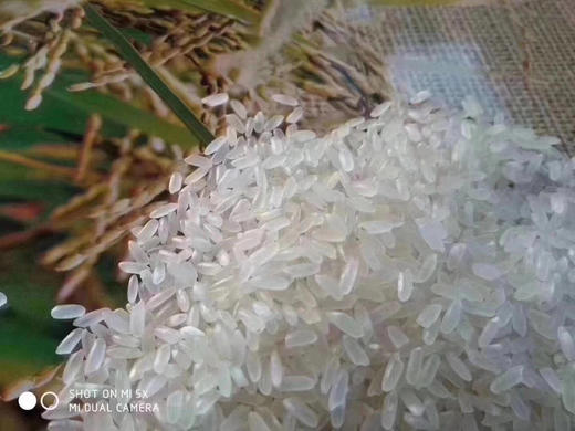 正宗五常有机稻花香米🍚稳定热卖多年 商品图4