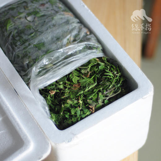 野生白鹿原荠菜 | 合作生产 *  Wild-Shepherd's purse | Coproduction 商品图2