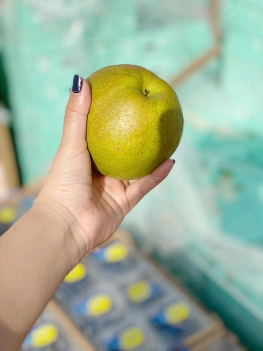 玉露香梨🍐🍐目前少有的好鲜梨，皮薄肉厚水份足，清甜水嫩，好吃[色][色] 商品图4