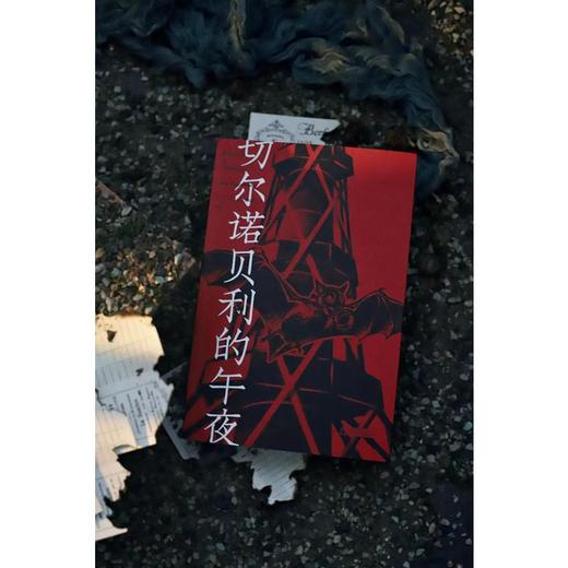 切尔诺贝利的午夜 商品图4