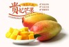 树上熟 贵妃芒 核薄如纸 商品缩略图3