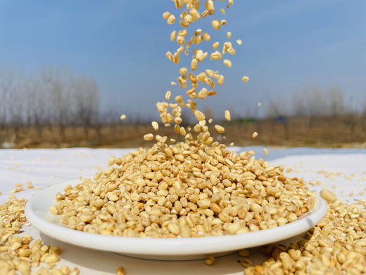 【2025新粮】麦仁 500g 商品图0