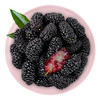 广东桑葚300g 商品缩略图0