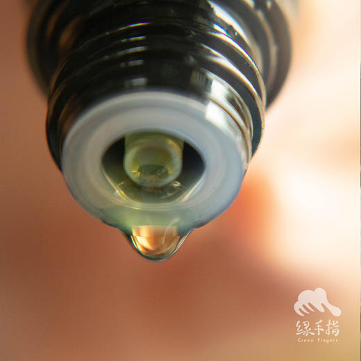 雅琪朵植物天然纯精油| 公平贸易* Plant natural pure essential oil | Base oil| Fair trade 商品图3