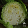生态包菜 | 绿家自产*Ecological cabbage | In-House Production 商品缩略图3