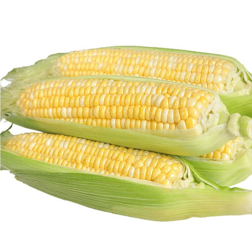 【生鲜预定】玉米棒花超 1kg 商品图0