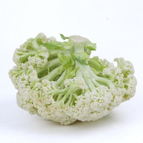 松花菜｜静物自产