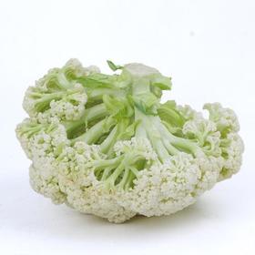 松花菜｜静物自产