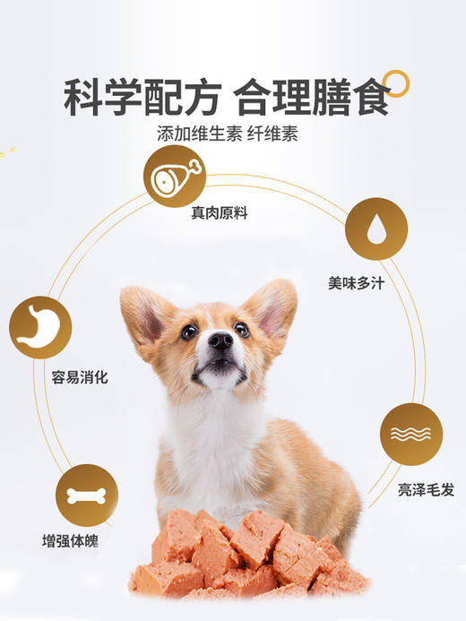 麦富迪平价宠物零食狗罐头食材本味均衡营养狗狗零食 商品图3