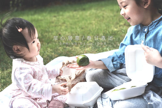 春日青团/每日现蒸，可快递数量有限 商品图11