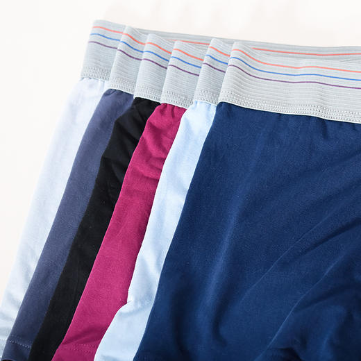 皇家丽美莫代尔男士底裤薄DKN1015 商品图3