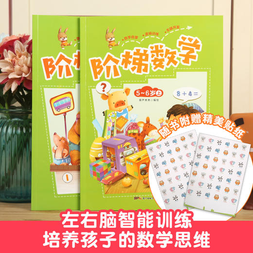 【青葫芦】阶梯数学：5-6岁（套装共2册） 幼小衔接 3-6岁 HL 商品图2