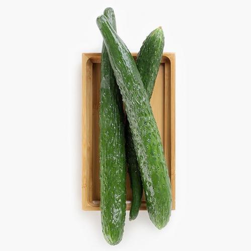 【生鲜预定】黄瓜1kg 商品图0