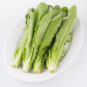 【生鲜预定】笋尖 油麦菜