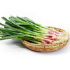 【生鲜预定】青蒜 商品缩略图0