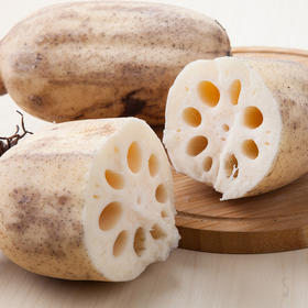 【生鲜预定】莲藕 1kg