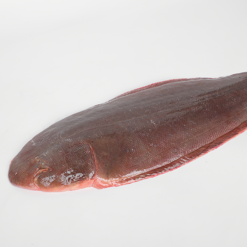 【龙利鱼·单条】700