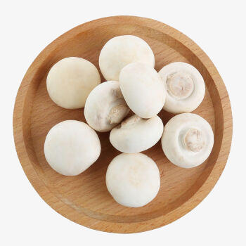 【生鲜预定】白蘑菇 （天然采摘，根部稍带泥巴，介意慎购） 商品图0