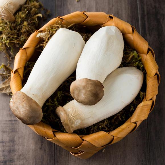 【生鲜预定】杏鲍菇