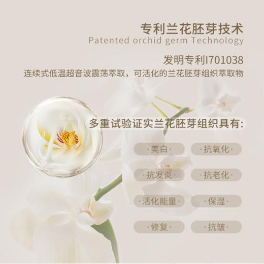 【春肌焕新】nywow o 兰花精粹修护兰花油 70ML+兰花油7ml*2 [福利品] 商品图11