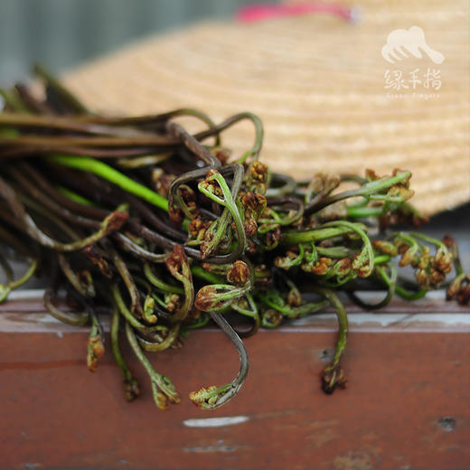 野生蕨菜| 绿家自产* Wild fiddlehead | Selfoduction 商品图1