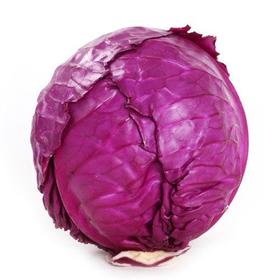【生鲜预定】紫莲白 紫甘蓝1.5kg