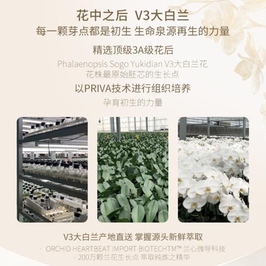 【春肌焕新】nywow o 兰花精粹修护兰花油 70ML+兰花油7ml*2 [福利品] 商品图6