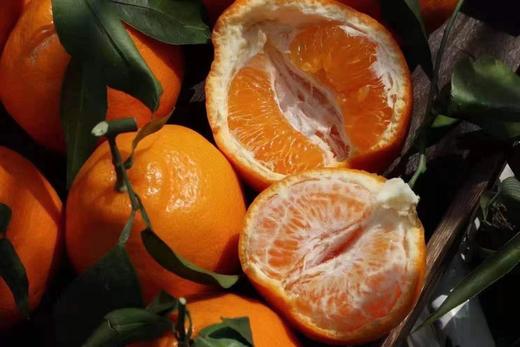 【甜&鲜】春见粑粑柑 行走的果粒橙，果粒爆满，水分好，甜度足，简直让我欲罢不能！ 商品图1