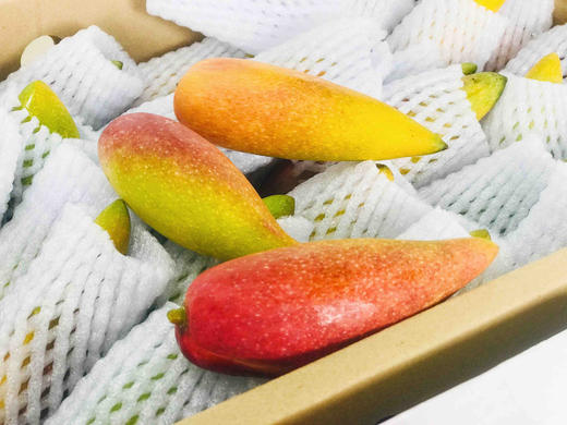 海南空运树熟辣椒芒🥭，贵妃芒中的限量款，外形酷似辣椒，核如牙签，一口下去全是肉，比贵妃芒更惊艳，产量极低⚠️ 商品图11