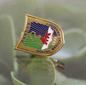 校徽校名磁吸徽章