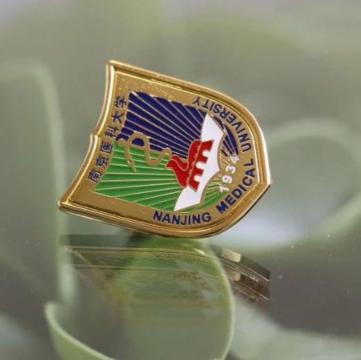 校徽校名磁吸徽章 商品图0