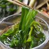 海带苗|摘取海带苗中最嫰最鲜的一部分海带家族的瑰宝 商品缩略图0