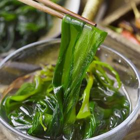 海带苗|摘取海带苗中最嫰最鲜的一部分海带家族的瑰宝