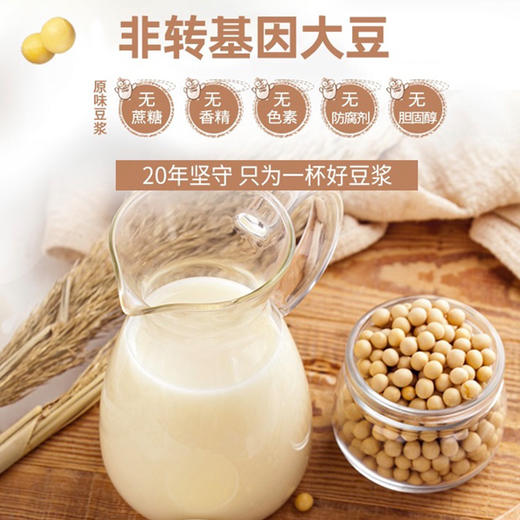 (散)龙王豆浆粉原味，甜味30g 商品图2